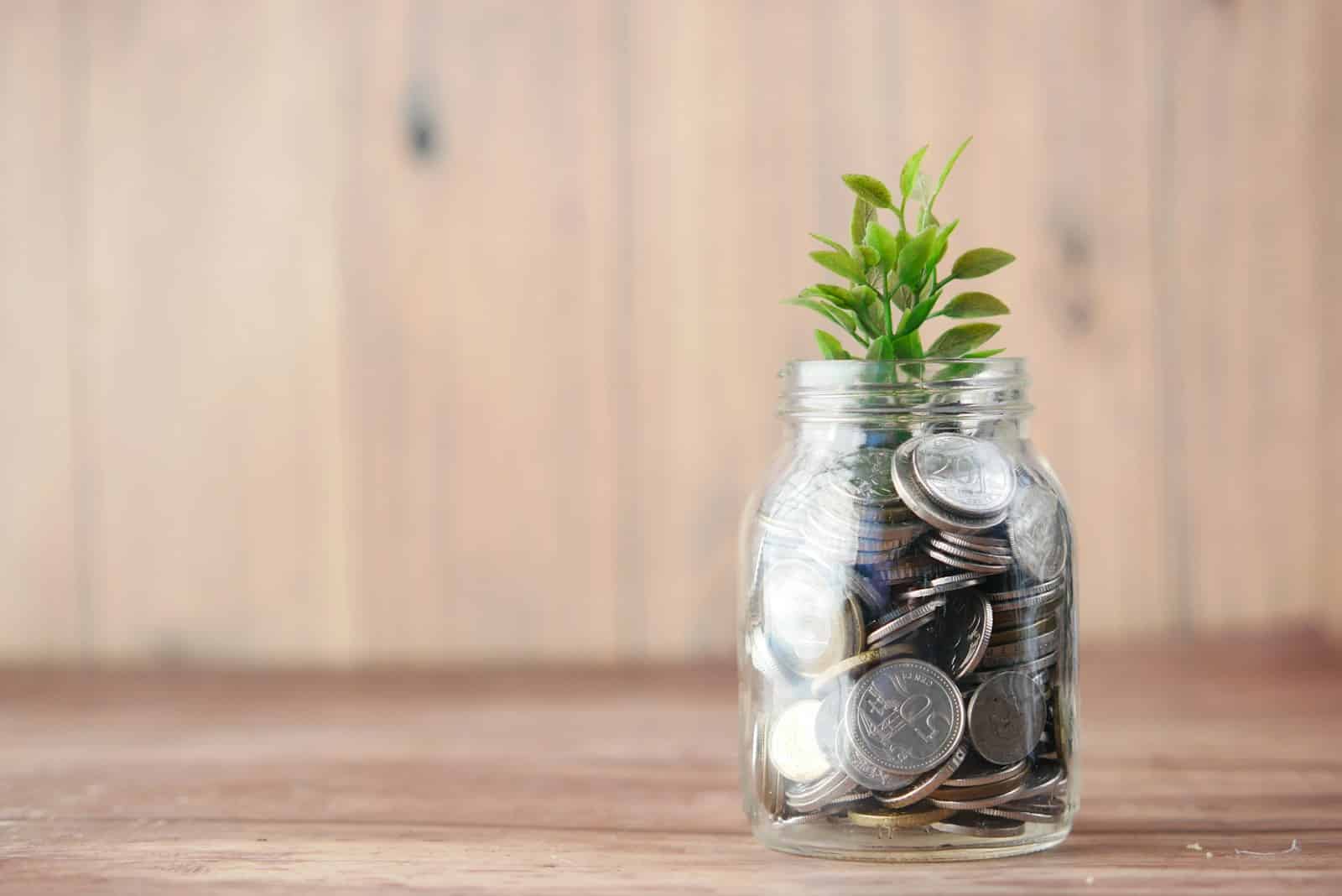 Coin jar with growing plant symbolizing rebuilding credit over time